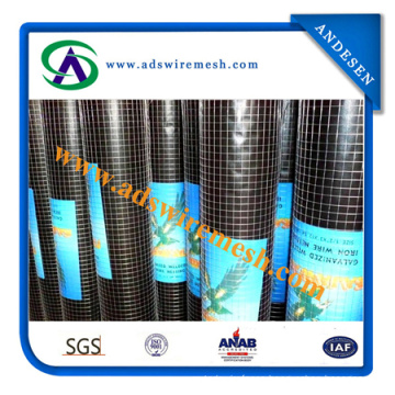 Hot Dipped Galvanized Hardware Cloth / Galvanized Welded Wire Mesh